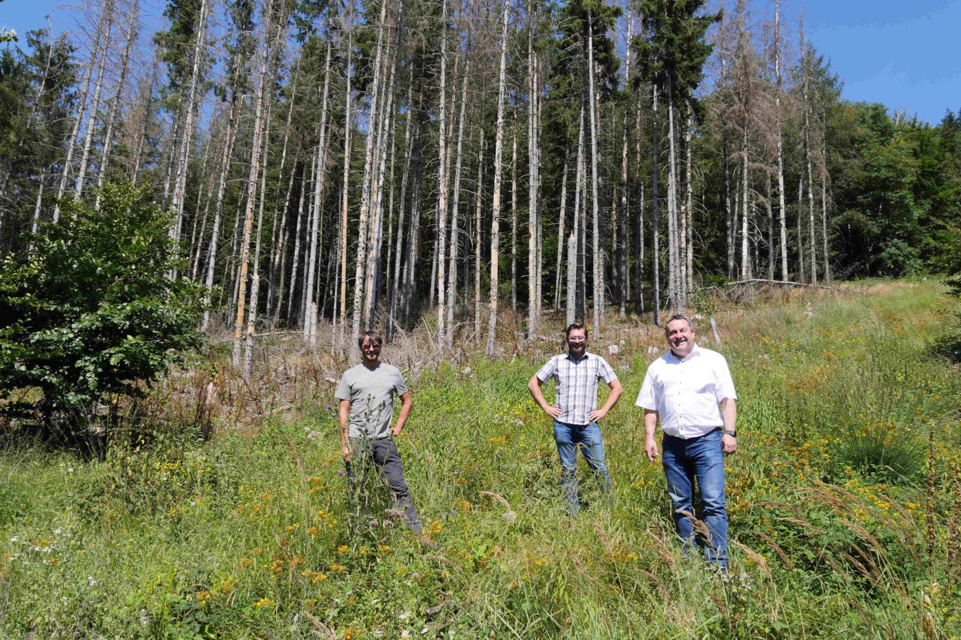 Machten sich vor Ort ein Bild von dem Zustand des Waldes: Daniel Lühr, Projektleiter Naturschutzgroßprojekt, Daniel Telaar, Leiter der Unteren Naturschutzbehörde, und Landrat Dr. Axel Lehmann. (Foto: Kreis Lippe)