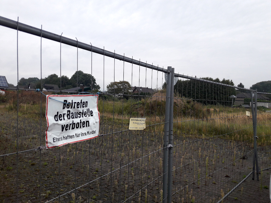 Die Pflanzen haben sich das Filliesgelände zurückerobert. Seit vielen Monaten tut sich nichts mehr dort. Möglicherweise liegt das an einem Finanzskandal. Foto; Thomas Dohna