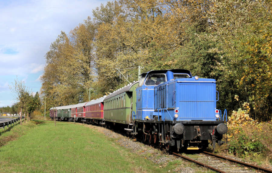 Heckeneilzug im Herbst in Alverdissen