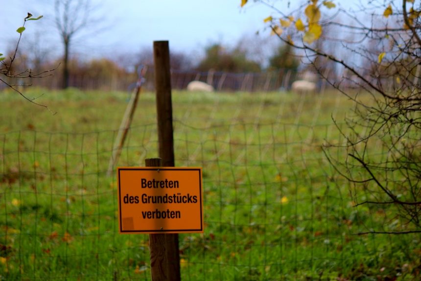 Schafe Heimathof Betreten verboten