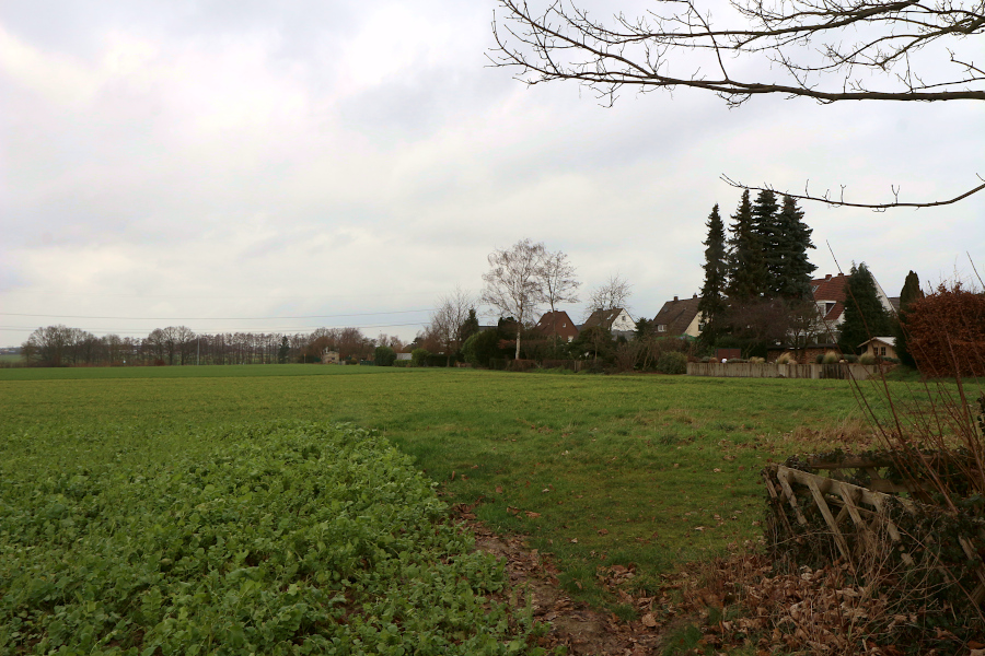 ASB_03-Schuckenbaum-noerdlicher-Teil