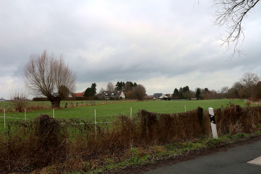 ASB_08-Asemissen-Noerdlicher-Teil-Wiese