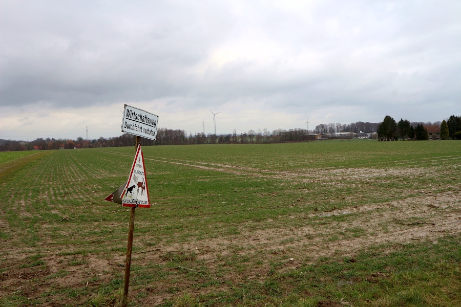 GIB_09_Greste: Das Gewerbegebiet Greste soll auf dieser Fläche zwischen der Fettpottstraße und dem Gewerbegebiet im Hintergrund bis zur B66 erweitert werden können.