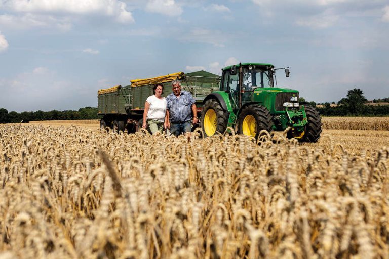 altr korn MGF 0843k 768x512