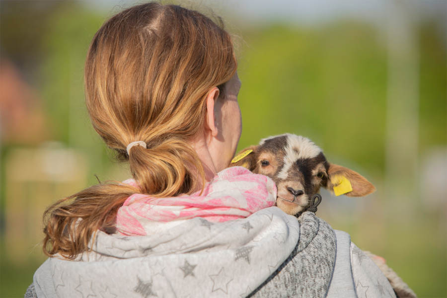 Pia Völker mit einem der neugeboren Lämmer, das auf den Namen Milly hört. Foto: Pia Völker