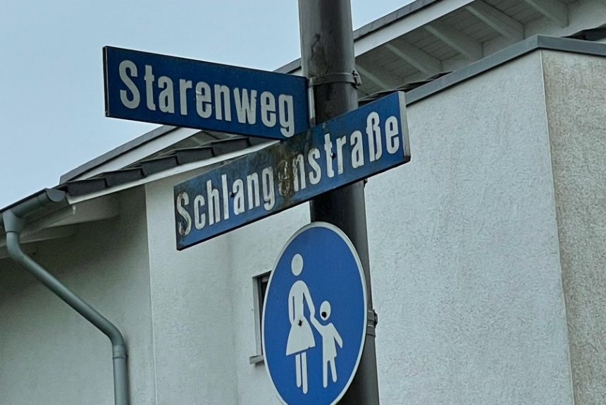 An der Ecke Schlangenstraße / Starenweg liegt das Gelände einer ehemaligen Gärtnerei. Dort sollen Häuser gebaut werden dürfen. Foto: Lisa Windolph