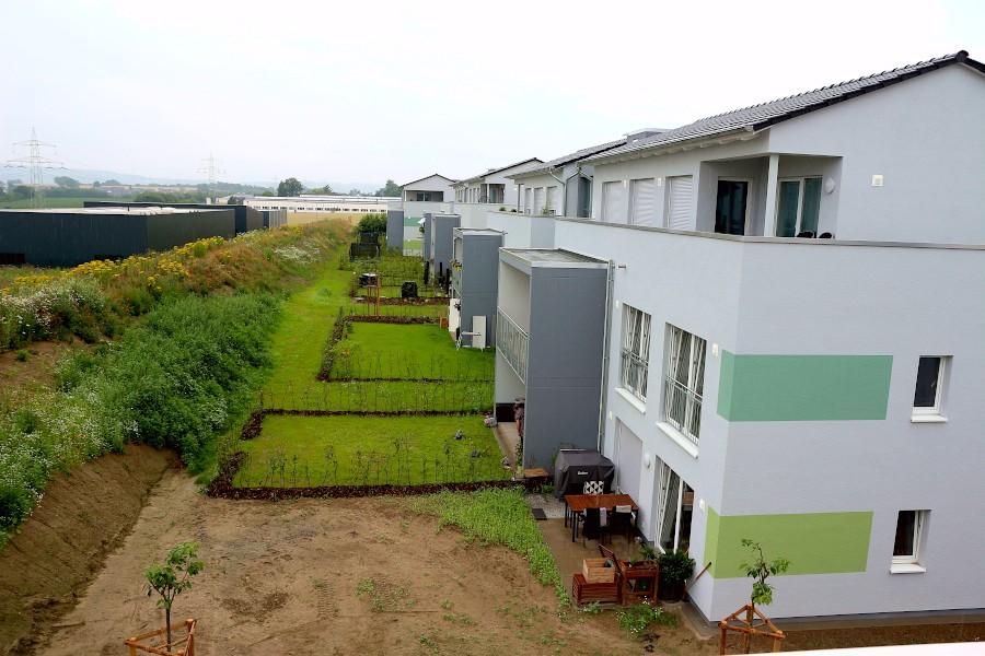 Am Augustenweg hat die Wohnbau Lemgo Mehrfamilienhäuser mit zum Teil öffentlich geförderten Wohnungen gebaut. Die Gartenflächen waren bei der Aufnahme des Fotos noch nicht fertiggestellt. Foto: Thomas Dohna