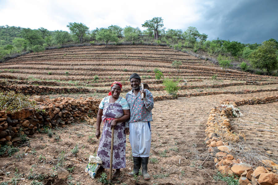 Projektbeispiel Simbabwe: Kleinbauern wie Evelyn und Gift Dirani werden dabei unterstützt, auf ihrem Hof mit den Folgen des Klimawandels zu leben und gleichzeitig die Umwelt zu schützen. Foto: Karin Schermbrucker/Brot für die Welt