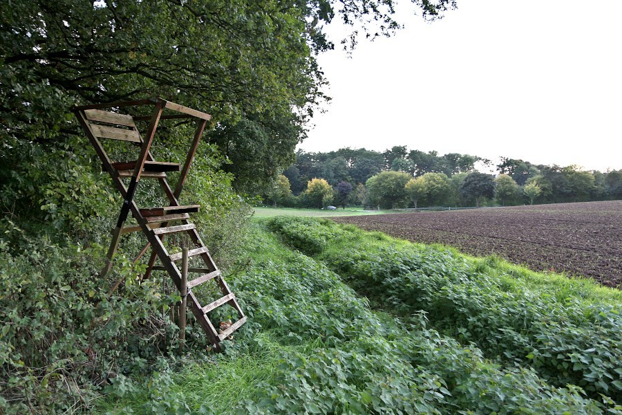 Ein Hochsitz an einem Acker nördlich der Dorfstraße in Greste. Foto: Thomas Dohna