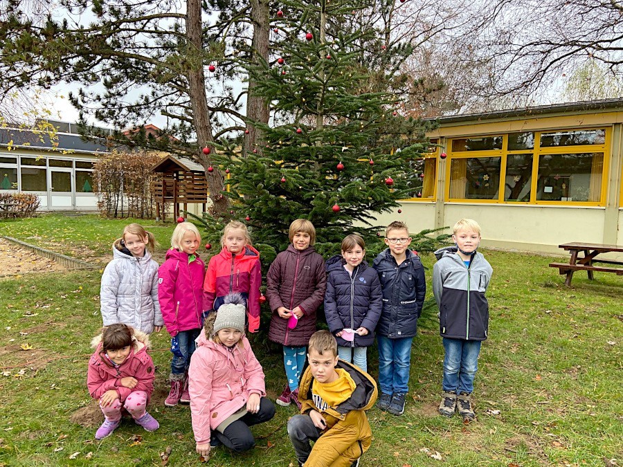 Die Kinder der Klasse 2b der Grundschule Nord freuen sich über den geschmückten Baum im Garten der Schule. In normale Jahren steht der Baum in der Eingangshalle. Foto: Bianca Neumann