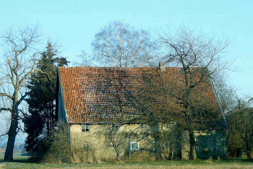 An diesem alten Haus stehen alte Bäume, die wie das Haus die Landschaft prägen. Foto: Hans Dudler