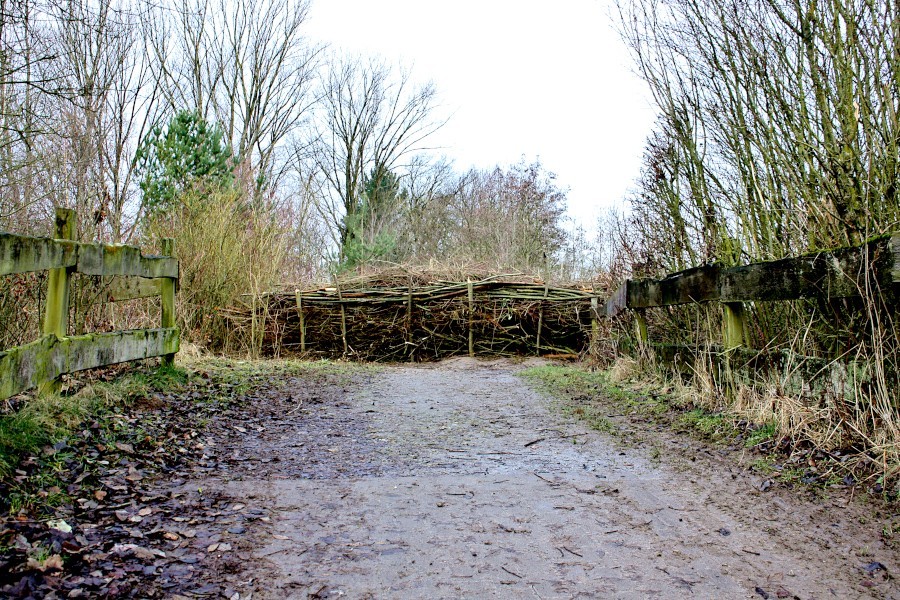 Hier endet der Weg, der zu einem Privatweg führte. Auf dem fand die Eigentümerin immer wieder Müll und Hundekot und forderte, den Zugang zu sperren. Foto: Thomas Dohna