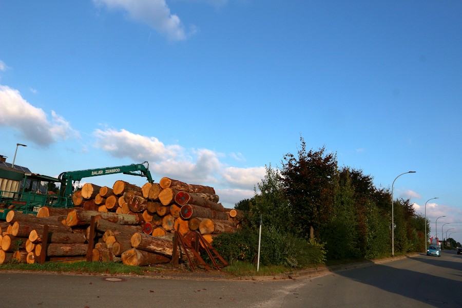 Unter anderem das Sägewerk an der Ecke Askamp Schuckenteichweg soll durch den geplanten Bebauungsplan in seinem Bestand gesichert werden. Foto: Thomas Dohna