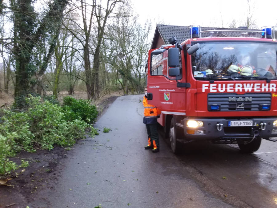 Die Freiwilligen Kräfte der Feuerwehr Leopoldshöhe waren in den frühen Morgenstunden elf Mal im Einsatz, um neben anderem Bäume von der Straße zu räumen. Foto: Feuerwehr Leopoldshöhe