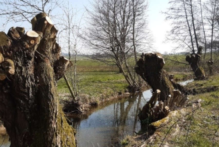 Die Schutzzeiten gelten auch in der freien Landschaft. Bild: Kreis Lippe