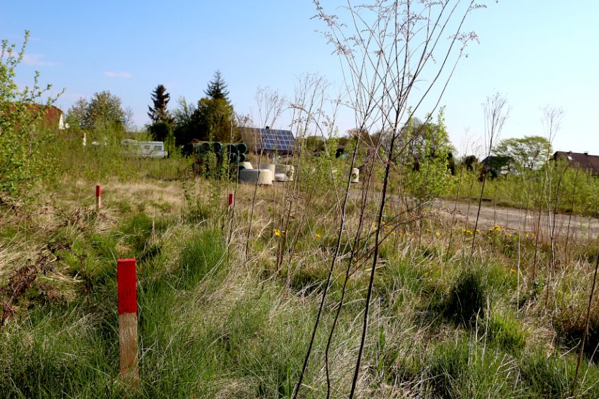 Pflöcke zeigen an, dass auf dem Fillies-Gelände für Bauarbeiten vermessen worden ist. Im Hintergrund sind Entwässerungsrohre und -schächte zu sehen. Foto: Thomas Dohna