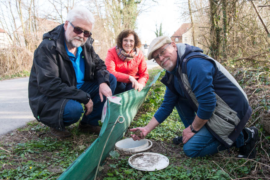 Dirk Rosenlicht (von links), Petra und Paul Gehle gehören zu den Ehrenamtlichen vom Naturschutzbund, die die Krötenzäune betreuen. Sie haben eine dramatischen Rückgang der gezählten Tiere seit 2015 festgestellt, der wohl viele Gründe hat. Foto: Ralf Bittner