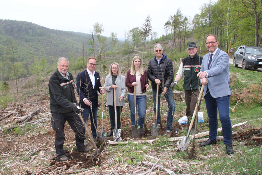 Pflanzten zehn junge Eichen zu Füßen des Hermannsdenkmals am Kaiser-Wilhelm-Weg (v.l.): Hans-Ulrich Braun (Leiter der Forst- abteilung), Jens Beining (CEO Wortmann KG), Olga Wedel (Corporate Sustainability Specialist), Sarah Schröder (Assistenz von Jens Beining und Projektmitglied in Fragen Nachhaltigkeit), Andreas Burmeister (Head of Corporate Sustainability), Stefan Schreiber (Leiter Forstrevier Hiddesen) und Jörg Düning-Gast (Verbandsvorsteher).