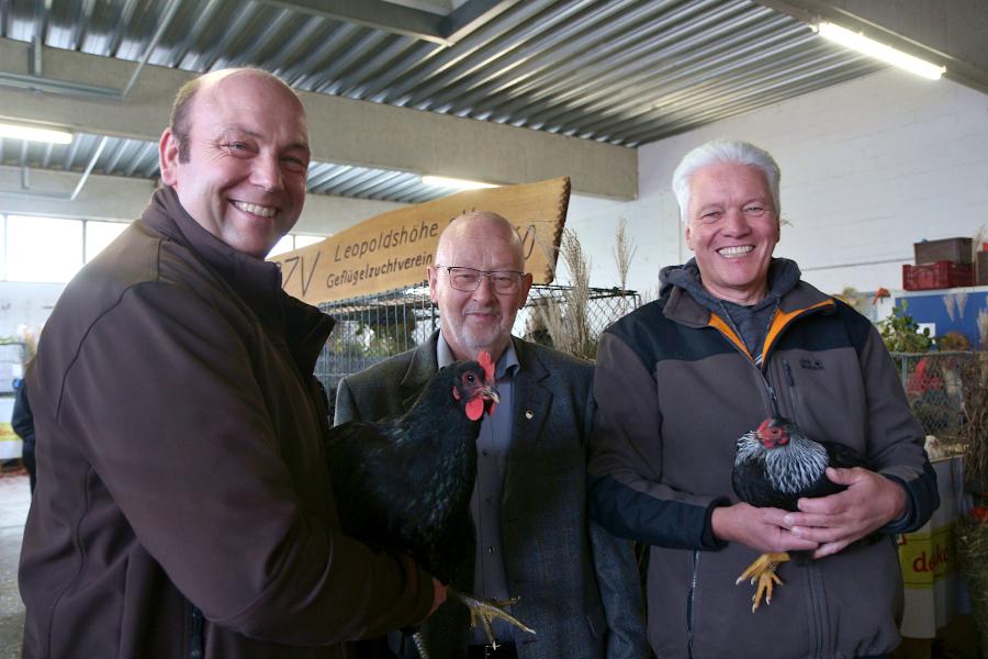 Stephan Hellmann (links) ist Vorsitzender des Rassegeflügelzuchtvereins Schötmar und Sieger der Geflügelausstellung auf dem Bauhof Leopoldshöhe mit seinen Jersey Giants. Zweiter Sieger ist Heinrich Hollmann (rechts) mit seinern Zwerg Wyandotten birkenfarbig. Arnold Schmittpott (Mitte) ist Vorsitzender des Geflügelzuchtvereins Leopoldshöhe. Foto: Thomas Dohna