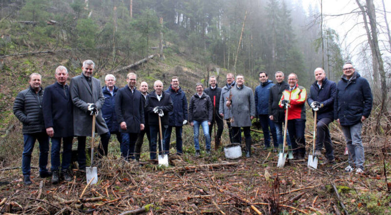 Landrat Dr. Axel Lehmann (sechster von rechts); Landesverbandsvorsteher Jörg Düning-Gast (dritter von rechts) und die Bürgermeister der lippischen Städte und Gemeinden pflanzen die ersten Eichen im Silberbachtal. Foto: Kreis Lippe