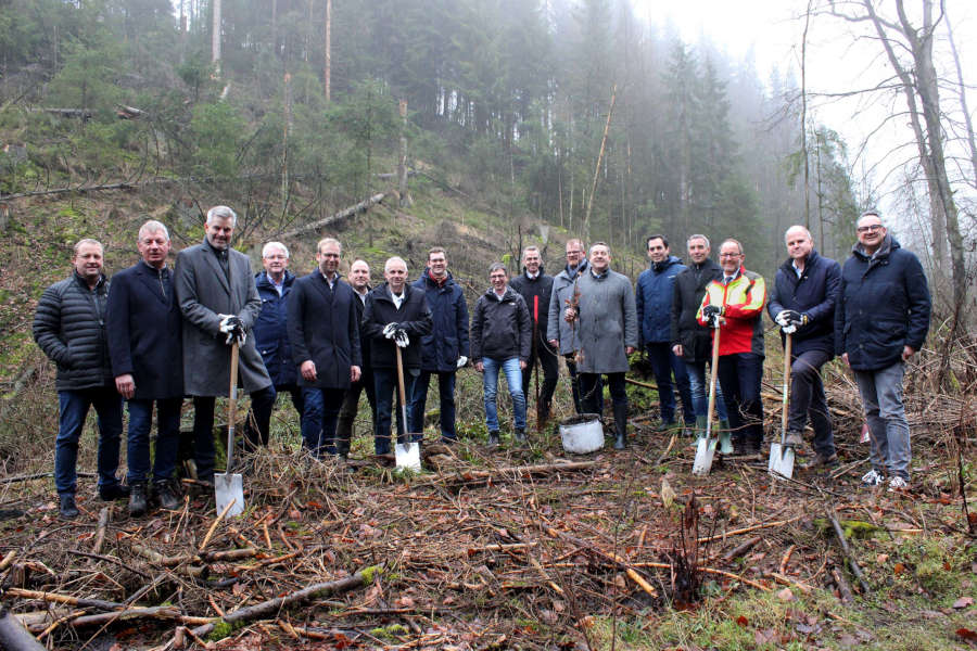 Landrat Dr. Axel Lehmann (sechster von rechts); Landesverbandsvorsteher Jörg Düning-Gast (dritter von rechts) und die Bürgermeister der lippischen Städte und Gemeinden pflanzen die ersten Eichen im Silberbachtal. Foto: Kreis Lippe