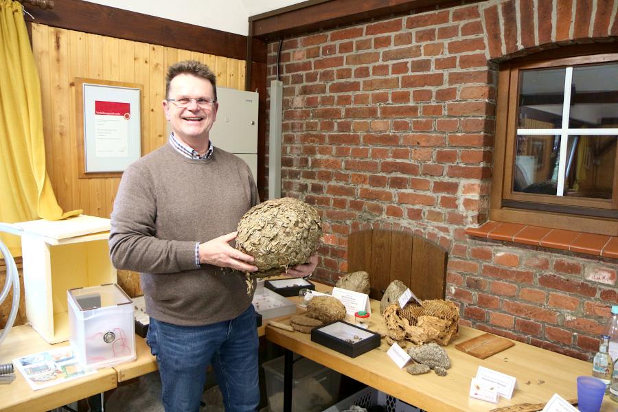 Peter Tauchert berät seit 1993 Menschen, die Fragen zu Wespen und Hornissen haben. Hier hält er ein fertiges Nest in der Hand. Nicht mehr besiedelte Nester können und dürfen gefahrlos abgenommen werden. Foto: Thomas Dohna