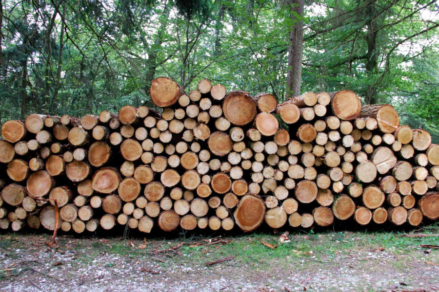 Geschlagenes und an den Waldweg geräumtes Holz gehört dem Waldbesitzer oder der Firma, die es vom Waldbesitzer gekauft hat. Sich hier zu bedienen, ist eine Straftat. (Fotos: LVL)