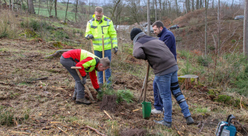 Mitglieder des Schützenvereins Bösingfeld e.V. 1722 pflanzen gemeinsam mit Revierförster Thomas Fritzemeier (l.) junge Setzlinge in der Nähe ihres Vereinsheims.