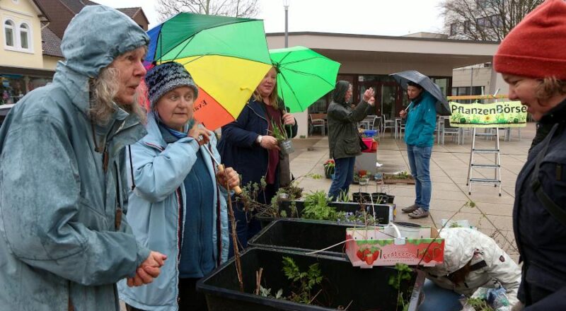 Heidrun Bode (links) von den Grünen spricht während der Pflanzenbörse ihrer Partei auf dem Marktplatz mit einer Interessentin. Eine Austellerin hört zu. Foto: Thomas Dohna