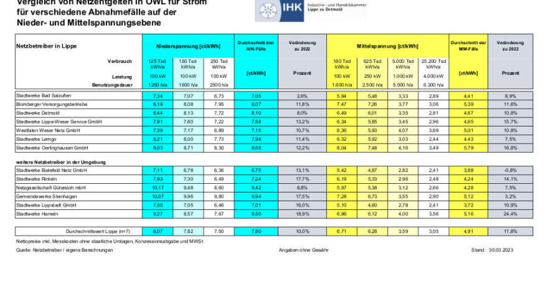 Die Tabelle zeigt die Netzentgelte in Cent/kWh für verschiedene Abnahmefälle von Unternehmen in den einzelnen Verteilnetzgebieten.