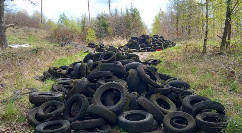 Dreiste, illegale Reifenentsorgung beklagt der Landesverband Lippe im Beller Holz. (Foto: LVL)