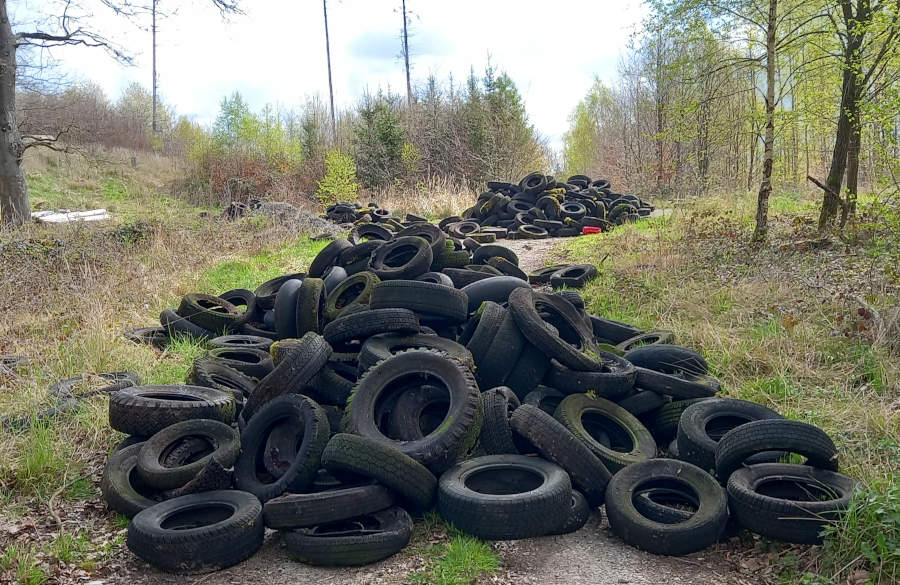 Dreiste, illegale Reifenentsorgung beklagt der Landesverband Lippe im Beller Holz. (Foto: LVL)