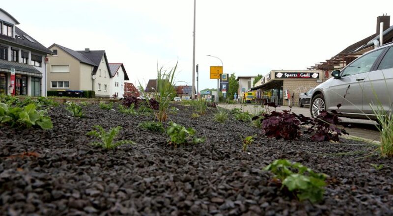 Bürger fanden es befremdlich, dass die Gemeinde in Asemissen scheinbar ein Schotterbeet angelegt hat. Der "Schotter" ist Lavagestein, das Feuchtigkeit speichern und anden Boden abgeben soll. Foto: Thomas Dohna