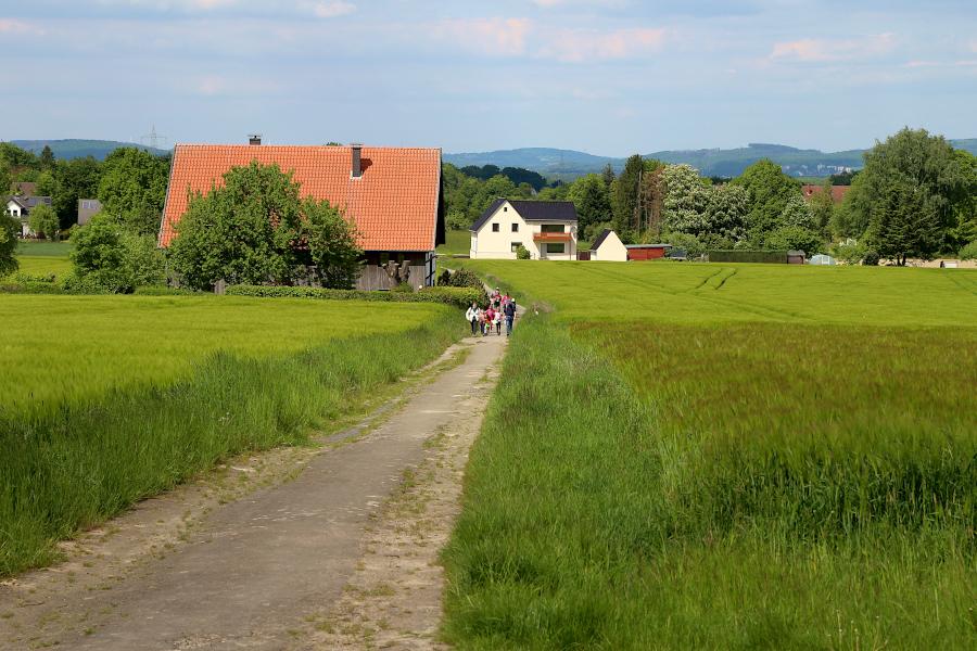 Von der Lageschen Straße aus folgen die Wanderer dem Weg "Im Flick". Foto: Thomas Dohna