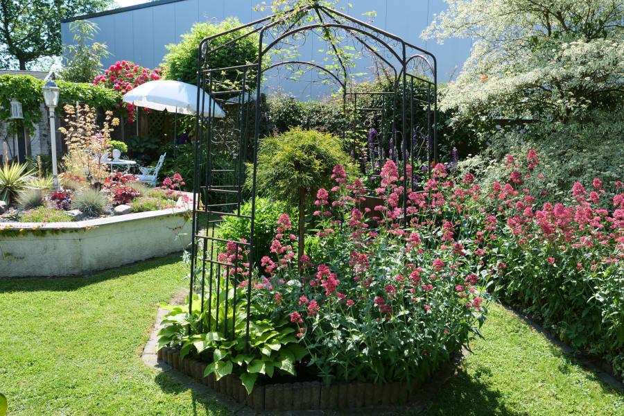 Stauden und Lauben prägen den Garten am Schuckenteichweg, an den eiune Produktionshalle angrenzt. Foto: Martin Düsterberg