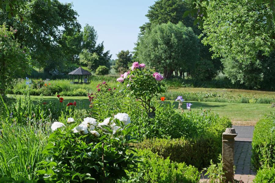 Rosen sind über den Garten in Asemissen verteilt. Inmitten liegt der Teich. Foto: Martin Düsterberg