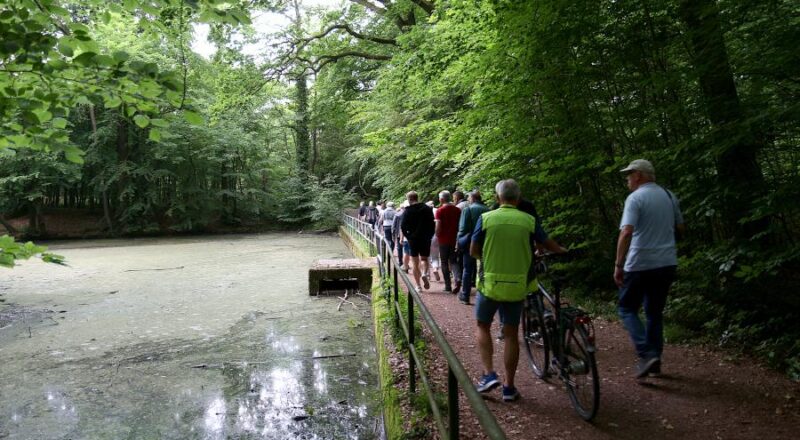Der Weg entlang des Hinnaksteiches führt über einen von der Gemeinde errichteten Damm. Das Bauwerk im Teich ist der sogenannte Mönch, durch den das Wasser abläuft. Foto: Thomas Dohna