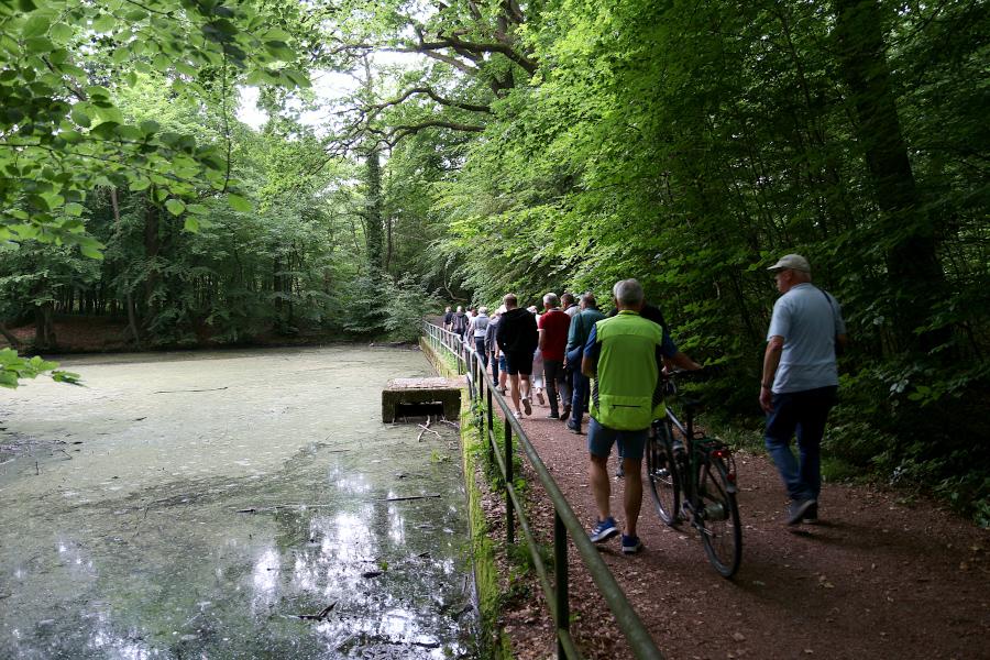Der Weg entlang des Hinnaksteiches führt über einen von der Gemeinde errichteten Damm. Das Bauwerk im Teich ist der sogenannte Mönch, durch den das Wasser abläuft. Foto: Thomas Dohna
