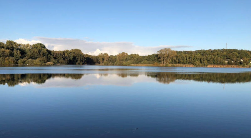 Der Norderteich in Horn-Bad Meinberg kann in der ersten Juliwoche nicht umrundet werden. Foto: LVL