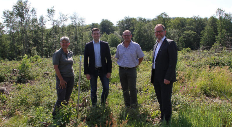 Susanne Hoffmann, stellvertretende Leiterin der Forstabteilung,Unternehmensvertretern Dominik Fitz und Frank Topp (Holzeinkauf) und Landesverbandsvorsteher Jörg Düning-Gast (von links) bei einem Besichtigungstermin an der Pflanzfläche. Foto: LVL