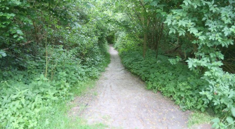 Der Trampelpfad am Rande des Krähenholzes führt vom Rotdornweg zur Straße Am Krähenholz. Archivfoto: Thomas Dohna