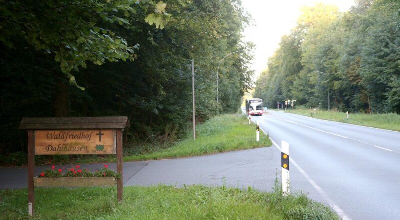 Um von der Bushaltestelle zum Friedhof Dahlhausen zu kommen muss der Grünstreifen überwunden werden. Dort soll nun ein Gehweg gebaut werden. Foto: Thomas Dohna