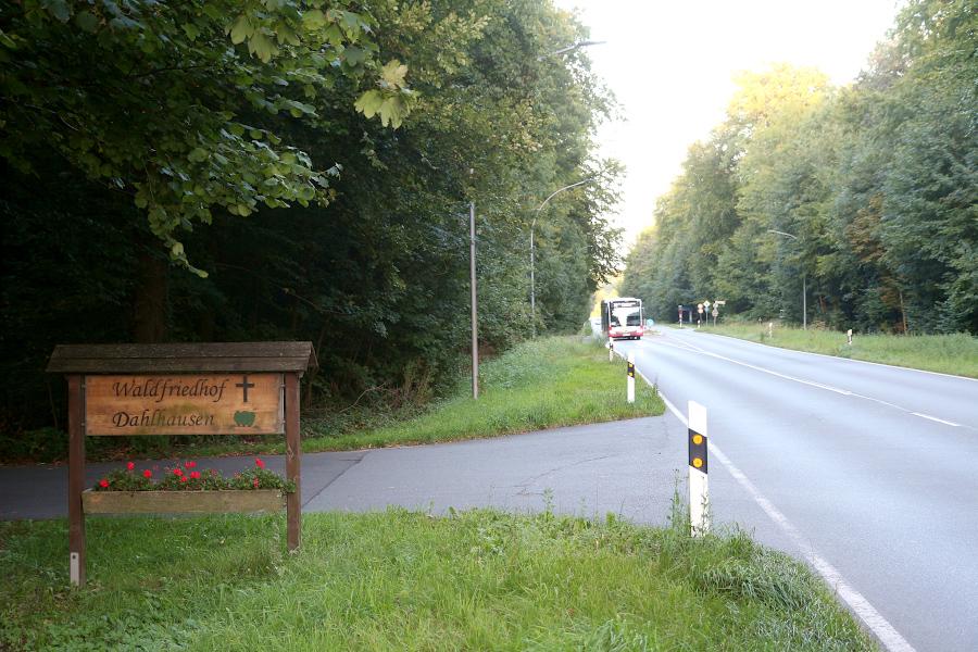 Um von der Bushaltestelle zum Friedhof Dahlhausen zu kommen muss der Grünstreifen überwunden werden. Dort soll nun ein Gehweg gebaut werden. Foto: Thomas Dohna