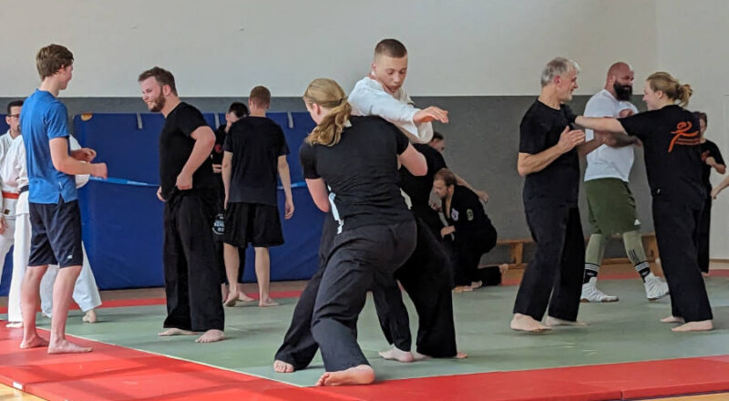 Nicolaj Wagner ( zweiter von rechts) leitete den MMA-Lehrgang. Foto: Privat