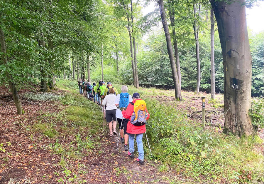 Während der Nordlippischen Wanderwoche konnten die Teilnehmenden die nordlippischen Kommunen erkunden (Foto: Lippe Tourismus & Marketing GmbH)