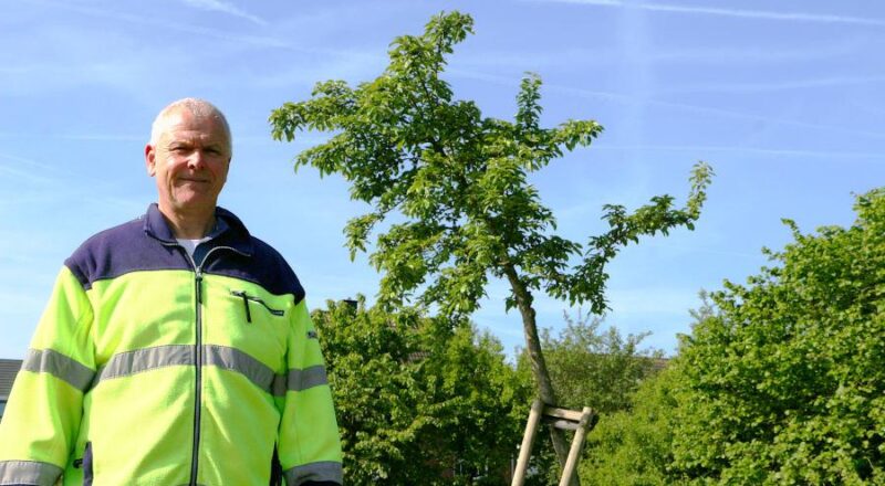 Reiner Loer von der Gemeindeverwaltung hatte schon vor Jahren darauf hingewiesen, dass die Äpfel an den Bäumen entlang des Bürgermeister-Brinkmann-Weges geerntet werden dürfen. Archivfoto: Thomas Dohna