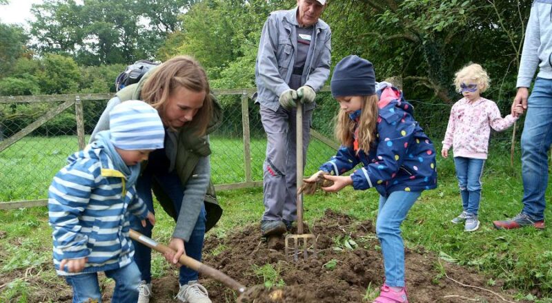 Unter der Anleitung von August Steinhage gräbt eine Mutter mit ihren Kindern Kartoffeln aus. Foto: Thomas Dohna