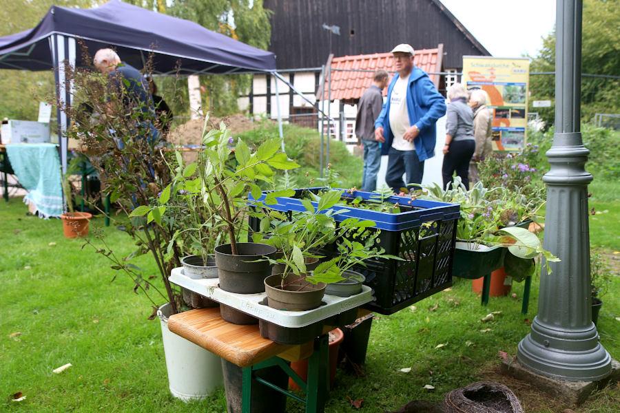 Der Naturschutzbund informierte über Pflanzen und alte Apfelsorten. Foto: Thomas Dohna