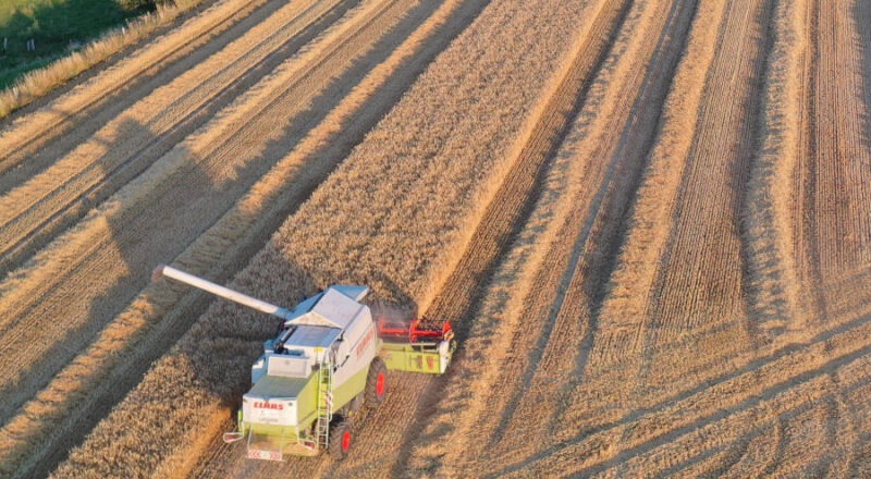 Mähdrescher bei der Ernte. Drohnenfoto: Thomas Kube