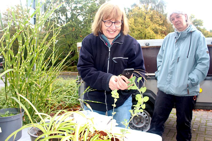 Mit Hilfe des weltweiten Web hat Cornelia Schweiger den „Echten Andorn“ identifiziert. Foto: Christine Reuner